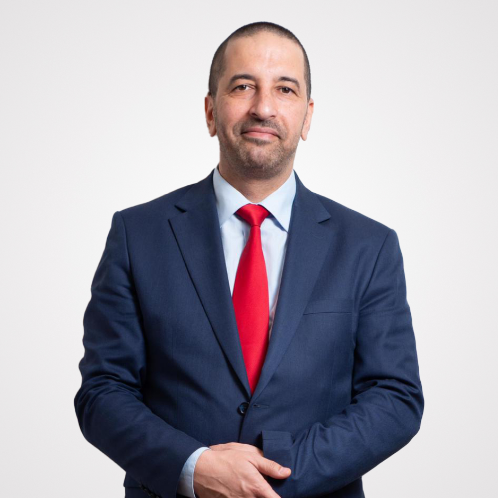 Mr Mehdi DELLECH